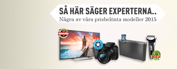 Experterna har ordet